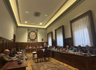 Pleno de la Diputación de Palencia