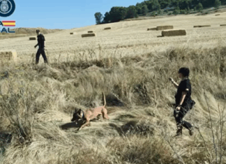Policía Nacional búsqueda de la mujer