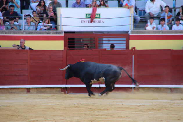 Primera Corrida de Abono. Toros San Antol&iacute;n 2025. FOTOS: MARIO COLOMER