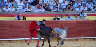 Primera Corrida de Abono. Toros San Antolín 2025. FOTOS: MARIO COLOMER