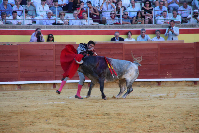 Primera Corrida de Abono San Antolín 2025 - MARIO COLOMER (30) Primera Corrida de Abono. Toros San Antolín 2025. FOTOS: MARIO COLOMER