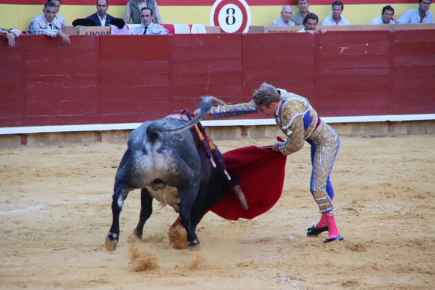 Primera Corrida de Abono. Toros San Antol&iacute;n 2025. FOTOS: MARIO COLOMER