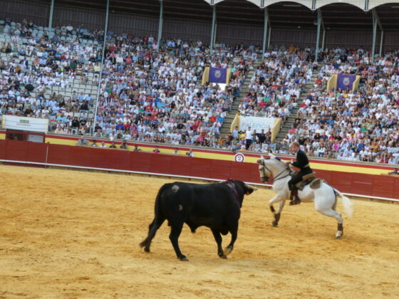 Rejones en Palencia el 31 de agosto de 2025
