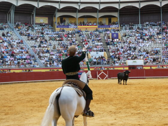 Rejones en Palencia el 31 de agosto de 2025