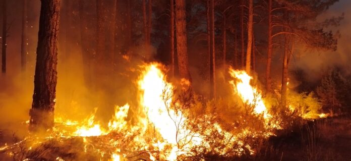 Riocamba (5) Bomberos de Guardo