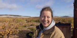 bodegas remigio salas