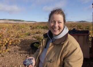 bodegas remigio salas