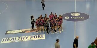 BM Fuentes Carrionas en Leganés