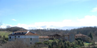 Boedo de Castrejón. Foto: Wikipedia