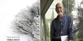 Carlos-de-Gredos---Verbo-Breve-presentación