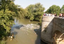 Circuito de Triatlón “Diputación de Palencia”
