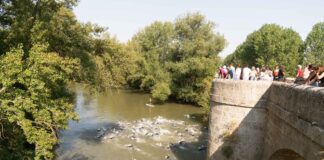 Circuito de Triatlón “Diputación de Palencia”