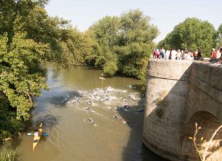Circuito de Triatlón “Diputación de Palencia”