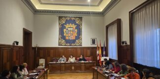 Consejo Provincial de la Mujer. Diputación de Palencia