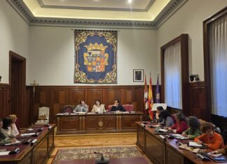 Consejo Provincial de la Mujer. Diputación de Palencia