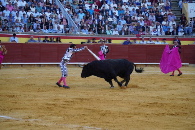 Corrida 2 de septiembre San Antol&iacute;n 2025 - Fotos Sergio Lozano