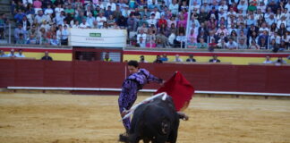 Corrida 2 de septiembre San Antolín 2025 - Fotos Sergio Lozano