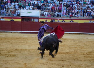 Corrida 2 de septiembre San Antolín 2025 - Fotos Sergio Lozano
