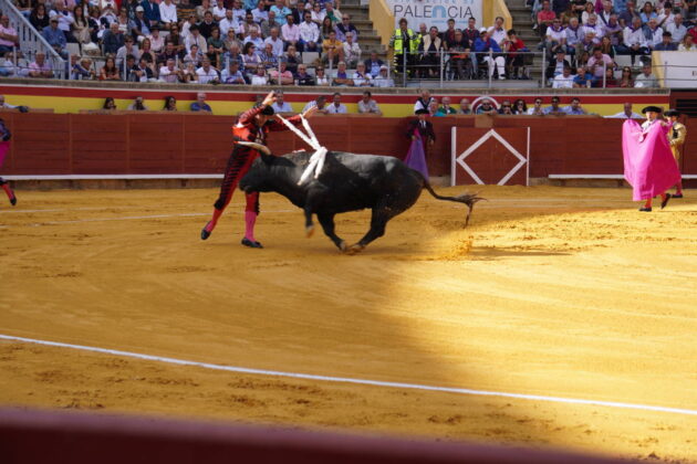 Corrida de Toros Lunes 1 de septiembre - San Antol&iacute;n 2025. Fotos Sergio Lozano