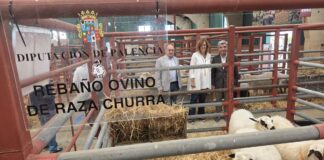 Diputación en Salamaq 2025