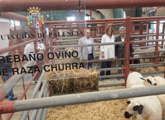 Diputación en Salamaq 2025