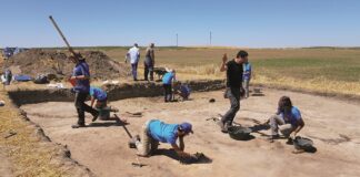 Excavación en Paredes de Nava (Intercatia)