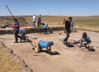 Excavación en Paredes de Nava (Intercatia)