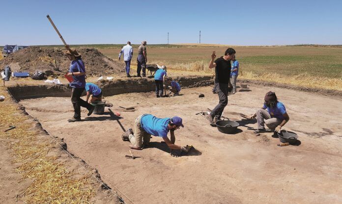 Excavación en Paredes de Nava (Intercatia)