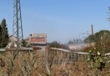 Incendio en la antigua Azucarera de Monzón - Viernes 5 de septiembre de 2025. Aida Acitores