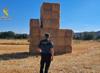 Investigado por sustraer 80 toneladas de paja a un agricultor en Paredes de Nava. Guardia Civil