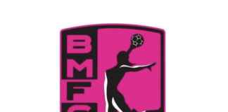 Logo del BM Fuentes Carrionas