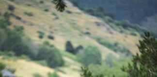 María Teresa Blanco y Nicolás Pérez