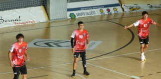 Palausa Balopal, 37 - Odisea Transportes de la Hera, 27