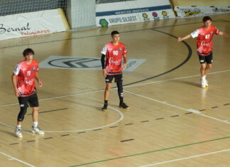 Palausa Balopal, 37 - Odisea Transportes de la Hera, 27