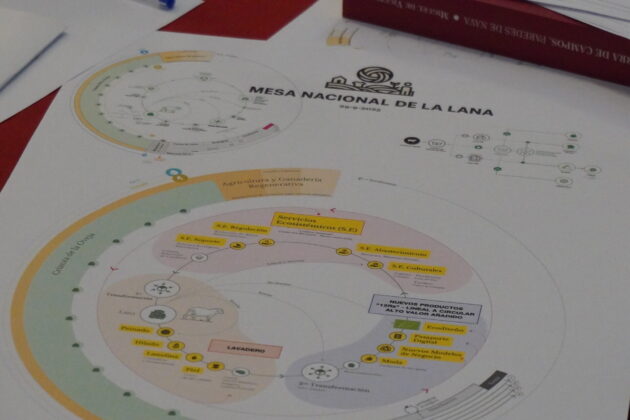 Constituci&oacute;n de la Mesa Nacional de la Lana. Fotograf&iacute;a: Layra Teixeira