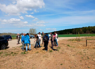 Bosque Modelo Palencia