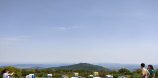 Reactiva Brañosera -Colmenas