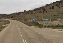 Vallas en las carreteras del Cerrato palentino para proteger a los linces