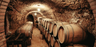 bodega-remigio-salas