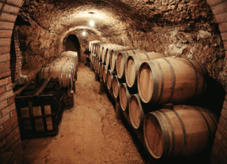 Bodegas Remigio Salas Jalón, Un viaje entre viñedos centenarios y premios internacionales bodega-remigio-salas