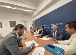 junta de gobierno diputación