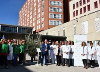 Un olivo centenario en el Hospital Río Carrión de Palencia como homenaje a los pacientes de cáncer