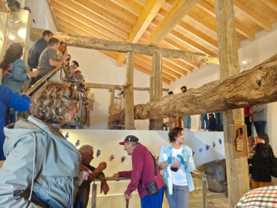 Baltan&aacute;s celebra el D&iacute;a de los Lagares