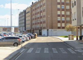 Encuentran un cachorro encerrado en el maletero de un coche en “estado lamentable” Calle Los Fresnos. Palencia