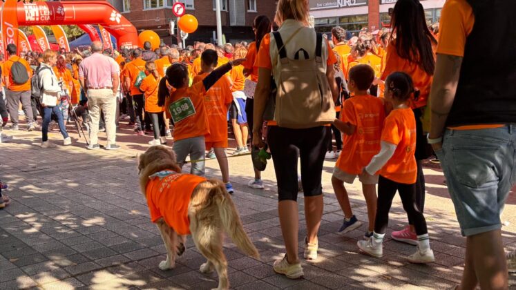 Carrera contra el C&aacute;ncer en Palencia 2025. Fotograf&iacute;a: Palencia en la Red