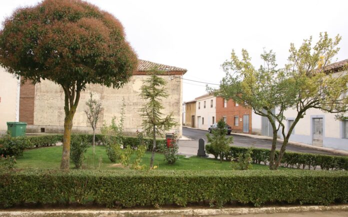 La Diputación de Palencia concede nueve ayudas por cerca de 44.000 euros para la rehabilitación de viviendas de alquiler