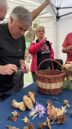 Feria de la Alubia 2025 - Fotos: Ayuntamiento de Salda&ntilde;a