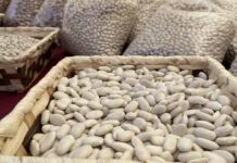 Feria de la Alubia 2025 - Fotos: Ayuntamiento de Saldaña