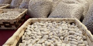 Feria de la Alubia 2025 - Fotos: Ayuntamiento de Saldaña