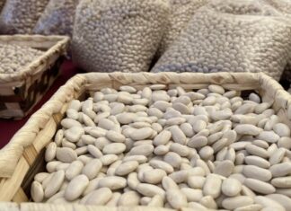 Feria de la Alubia 2025 - Fotos: Ayuntamiento de Saldaña